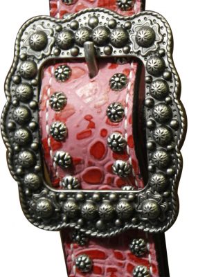 buckle detail buckle detail