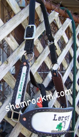 Halter w/ inlaid horsehair cheek pieces-