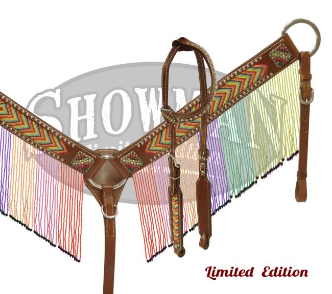 LIMITED EDITION Rainbow beaded fringe headstall and breast collar set-LIMITED EDITION Rainbow beaded fringe headstall and breast collar set