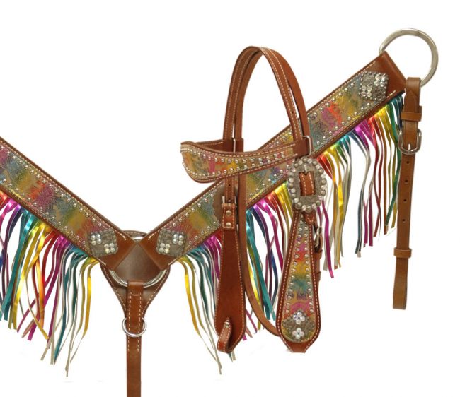 metallic rainbow paisley headstall and breast collar- metallic rainbow paisley headstall and breast collar