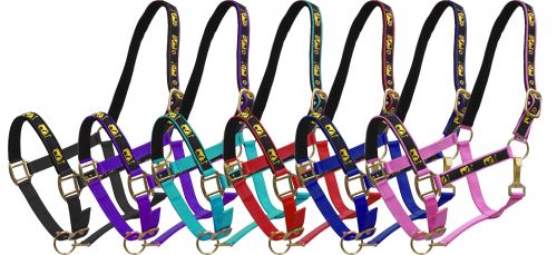 Neoprene lined horse size nylon halter with "praying cowboy" overlay-Neoprene lined horse size nylon halter with praying cowboy overlay
