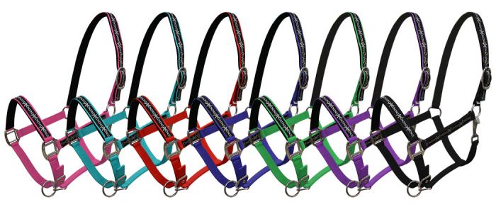 Triple ply Neoprene lined nylon horse size halter with barbwire design overlay-Triple ply Neoprene lined nylon horse size halter with barbwire design overlay