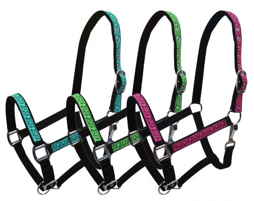 Adjustable Full Size Neoprene Lined Halter with Horse Shoe Overlay-Adjustable Full Size Neoprene Lined Halter with Horse Shoe Overlay