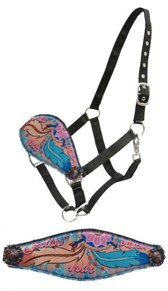 " Follow your Dreams" hand painted bronc nose halter- Follow your Dreams hand painted bronc nose halter