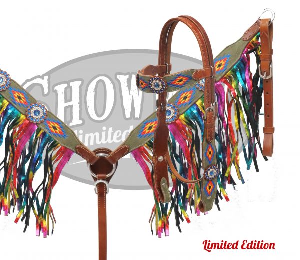 LIMITED EDITION Embroidered Navajo headstall and breast collar set with rainbow fringe-LIMITED EDITION Embroidered Navajo headstall and breast collar set with rainbow fringe