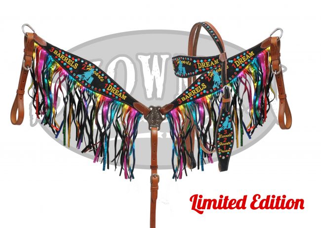 LIMITED EDITION "3 Barrels, 2 Hearts, 1 Dream" tack set-LIMITED EDITION 3 Barrels, 2 Hearts, 1 Dream tack set