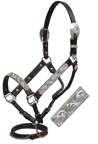 HORSE SIZE dark oil Argentina cow leather show halter.- HORSE SIZE dark oil Argentina cow leather show halter.