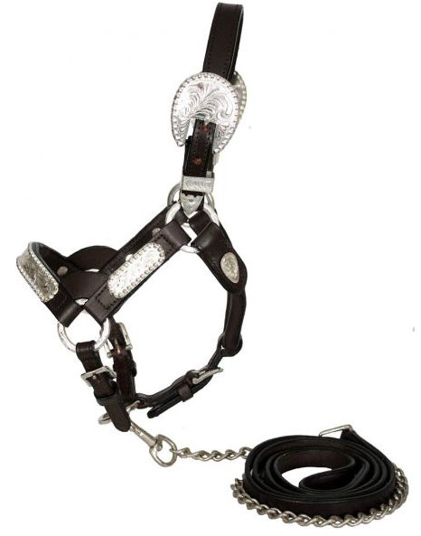 leather mini size engraved silver show halter.-leather mini size engraved silver show halter.