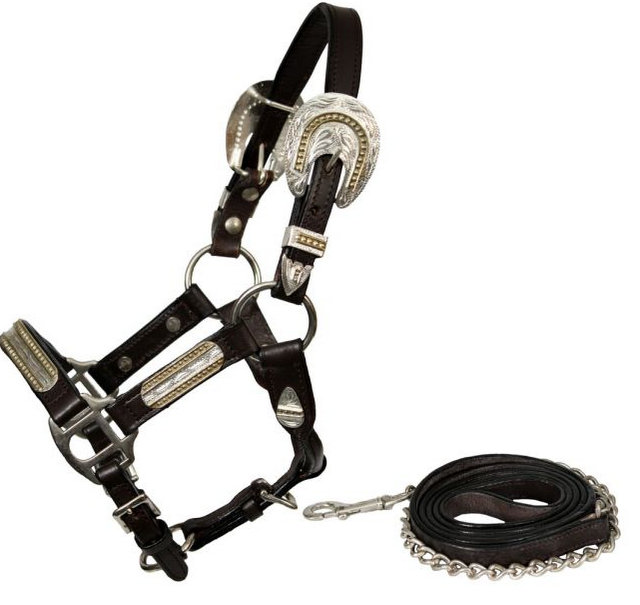 leather mini size engraved silver show halter.-leather mini size engraved silver show halter.