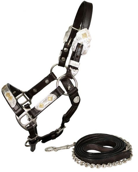 leather mini size silver show halter.- leather mini size silver show halter.