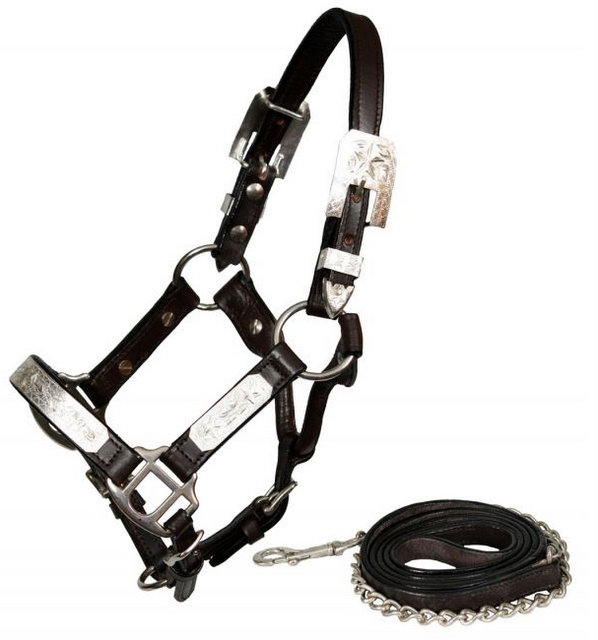 mini size silver show halter with matching lead.- mini size silver show halter with matching lead.