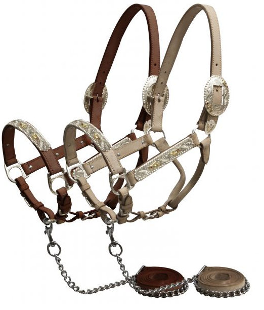 Showman horse size engraved silver show halter with Pink Rhinestones.-Showman horse size engraved silver show halter with Pink Rhinestones.