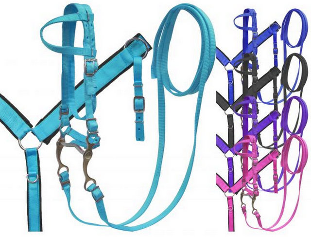 PONY SIZE Single ear nylon headstall and breast collar set with grazing bit.-PONY SIZE Single ear nylon headstall and breast collar set with grazing bit.