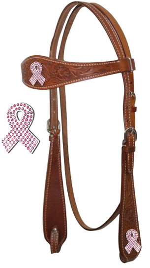Hope Ribbon Headstall.-Hope Ribbon Headstall.