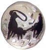 Team Roper Concho-conchos, team roper conchos