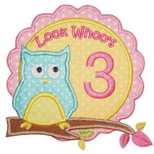 Owl Birthday-owl, birthday